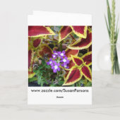 Vriend/het Denken aan u, Siernetel met Roze Kaart (Achterkant)