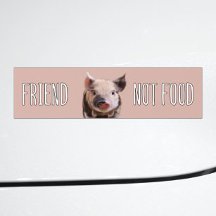 " vriend not food " - vegan met schattige biggetje bumpersticker
