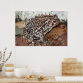 Vriend of kikker poster (Keuken)