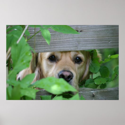 vriend poster (Voorkant)