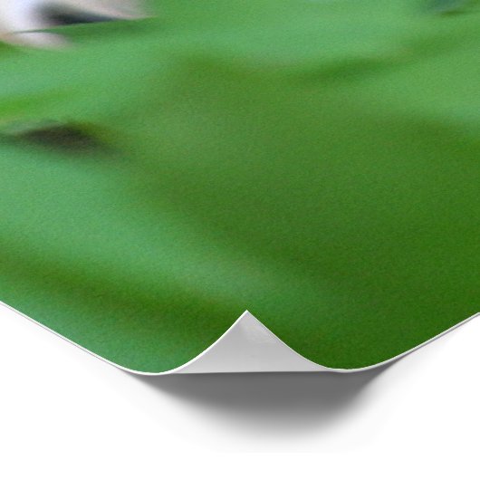 vriend poster (Hoek)