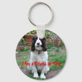 Vriend van Hank Keyring Sleutelhanger (Voorkant)