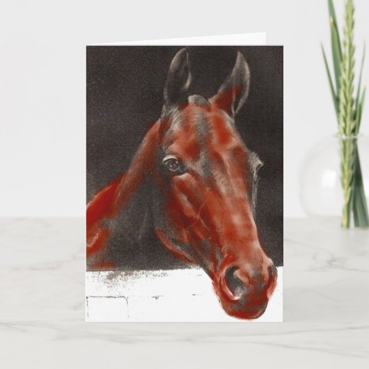 vriendelijk paard kaart (Voorkant)