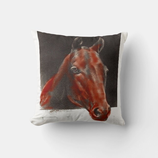 vriendelijk paard kussen (Voorkant)