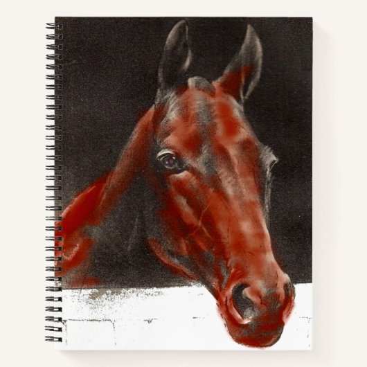 vriendelijk paard notitieboek (Voorkant)