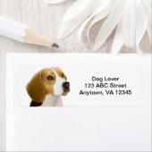 Vriendelijke Beagle Dog Etiket (Insitu)