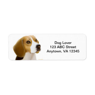 Vriendelijke Beagle Dog  Etiket