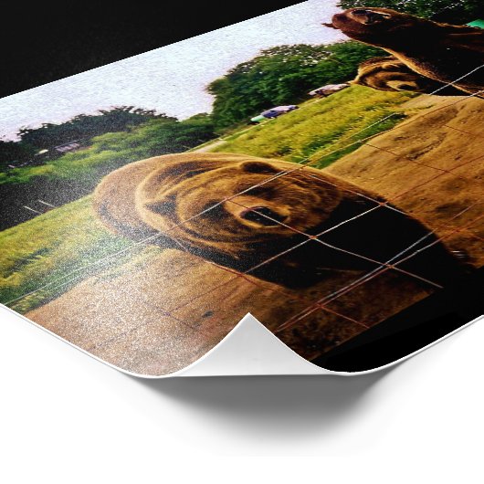 Vriendelijke Beren Foto Afdruk (Hoek)