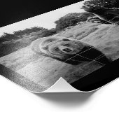 Vriendelijke Beren Foto Afdruk (Hoek)