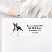 Vriendelijke Boston Terrier  Etiket (Insitu)