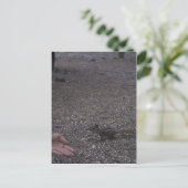 vriendelijke chipmunk briefkaart (Staand voorkant)