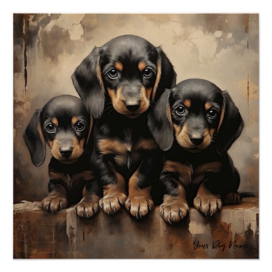 Vriendelijke Dachshund Puppy Honden 001 - Raimon P Perfect Poster (Voorkant)