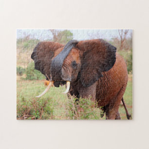 Vriendelijke Dieren van de Vlakte.Olifanten Legpuzzel