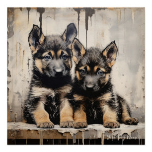Vriendelijke Duitse Herder Puppy Honden 001 - Raim Perfect Poster