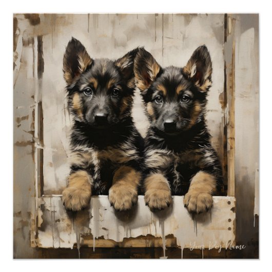 Vriendelijke Duitse Herder Puppy Honden 002 - Raim Perfect Poster (Voorkant)