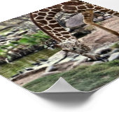 Vriendelijke Giraffe print (Hoek)