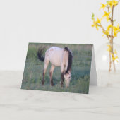 VRIENDELIJKE HOREN VAN UTAH-OURAY KAART (Gele Bloem)