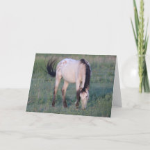 VRIENDELIJKE HOREN VAN UTAH-OURAY