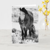 VRIENDELIJKE HORSE VAN UTAH vouwd Wenskaart Kaart (Gele Bloem)