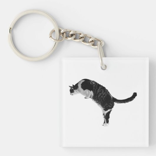 Vriendelijke katten sleutel sleutelhanger (voorkant)