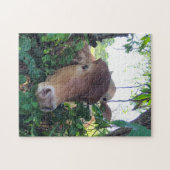 Vriendelijke Koeien 11x14-inch puzzel (Horizontaal)