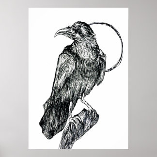 Vriendelijke Kraai Poster