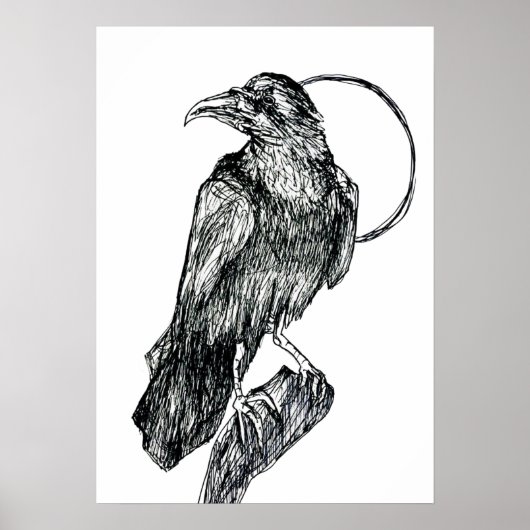 Vriendelijke Kraai Poster (Voorkant)
