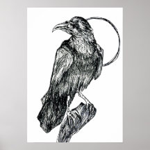 Vriendelijke Kraai Poster