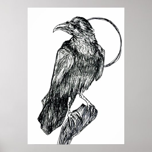Vriendelijke Kraai Poster (Voorkant)