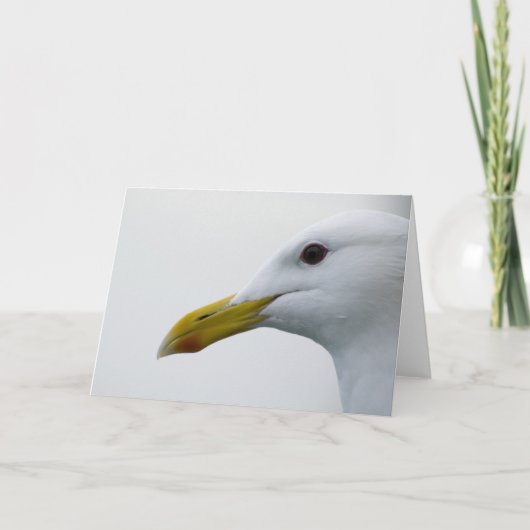 Vriendelijke meeuw? kaart (Voorkant)
