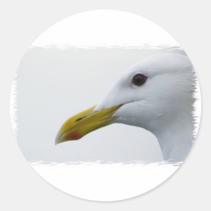Vriendelijke meeuw? ronde sticker