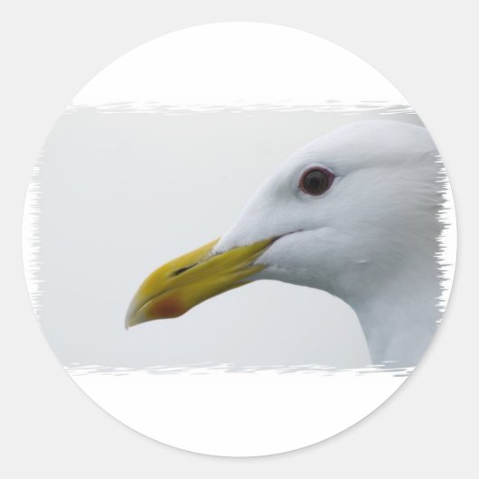 Vriendelijke meeuw? ronde sticker (Voorkant)