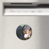 Vriendelijke Rottweiler Magnet (Insitu (Vaatwasser))