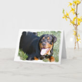 Vriendelijke Rottweiler Wenskaart Kaart (Gele Bloem)