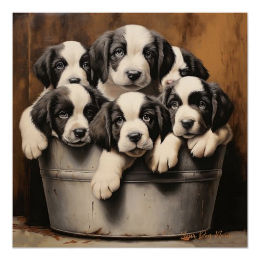 Vriendelijke Sint Bernard Puppy Honden 001 - Raimo Perfect Poster (Voorkant)