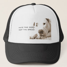 vriendelijke slaperige witte pitbull haat daad nie trucker pet