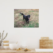 Vriendelijke Smokey Poster (Keuken)