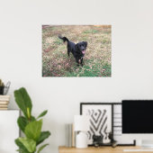 Vriendelijke Smokey Poster (Thuiskantoor)