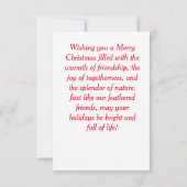 Vriendelijke struisvogels kaart (Achterkant)