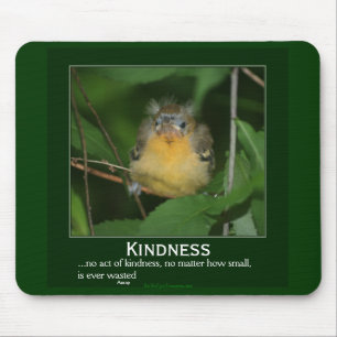 Vriendelijkheid Baby Oriole Motivatie Mousepad Muismat