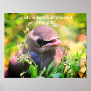 Vriendelijkheid Quote Baby Vogel Inspirerend Poster