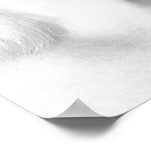 Vrienden 2 poster (Hoek)