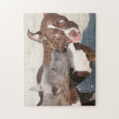 Vrienden bij het spelen - Pitbull-Puppies Legpuzzel (Verticaal)