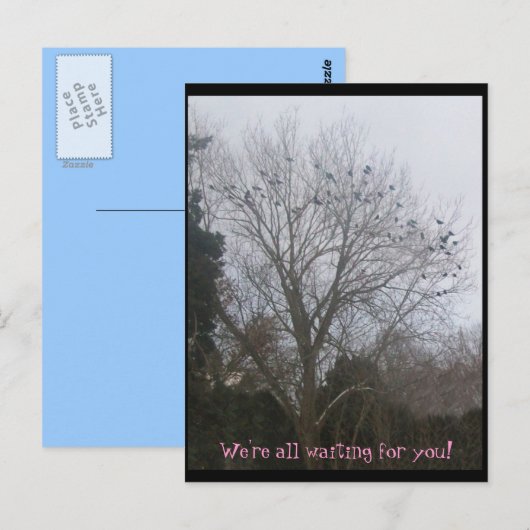 vrienden briefkaart (Voorkant / Achterkant)