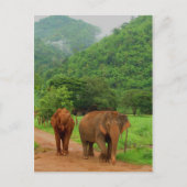 Vrienden Briefkaart (Voorkant)