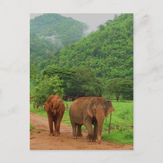 Vrienden Briefkaart (Voorkant)