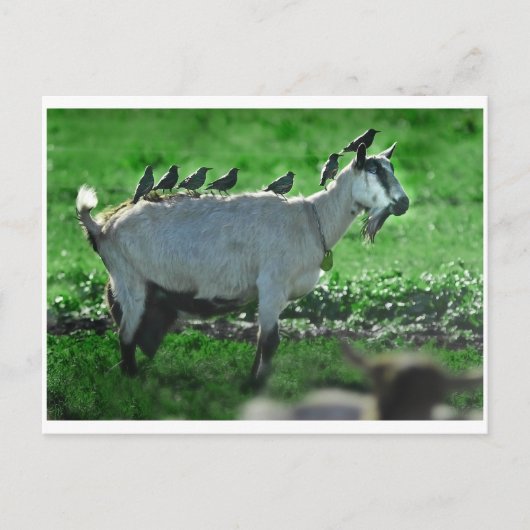 Vrienden Briefkaart (Voorkant)