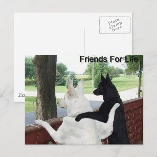 vrienden briefkaart (Voorkant / Achterkant)