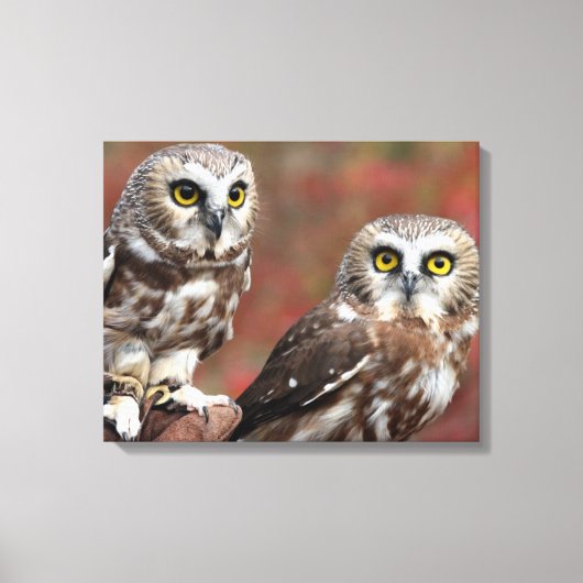 Vrienden Canvas Afdruk (Voorkant)