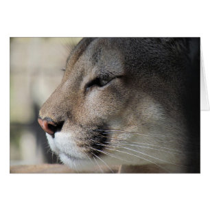 Vrienden even geweldig als jij - Cougar Kaart